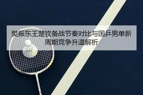 樊振东王楚钦备战节奏对比与国乒男单新周期竞争升温解析